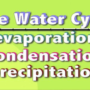 WaterCycle_VideoImage